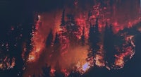 a picture of a forest fire in the middle of a forest